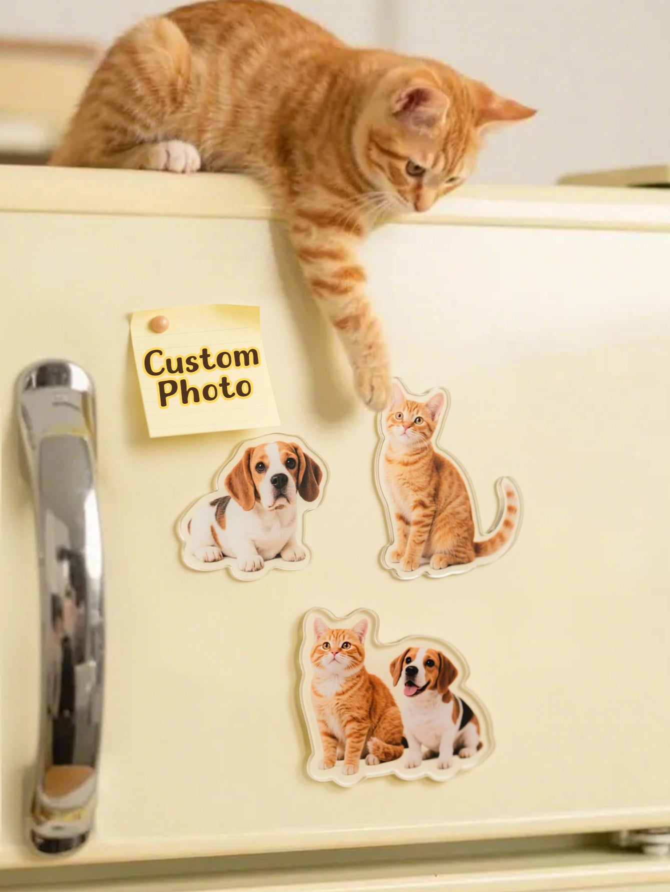Custom Photo Irregular Shape Fridge Magnet – Personalized Decoration